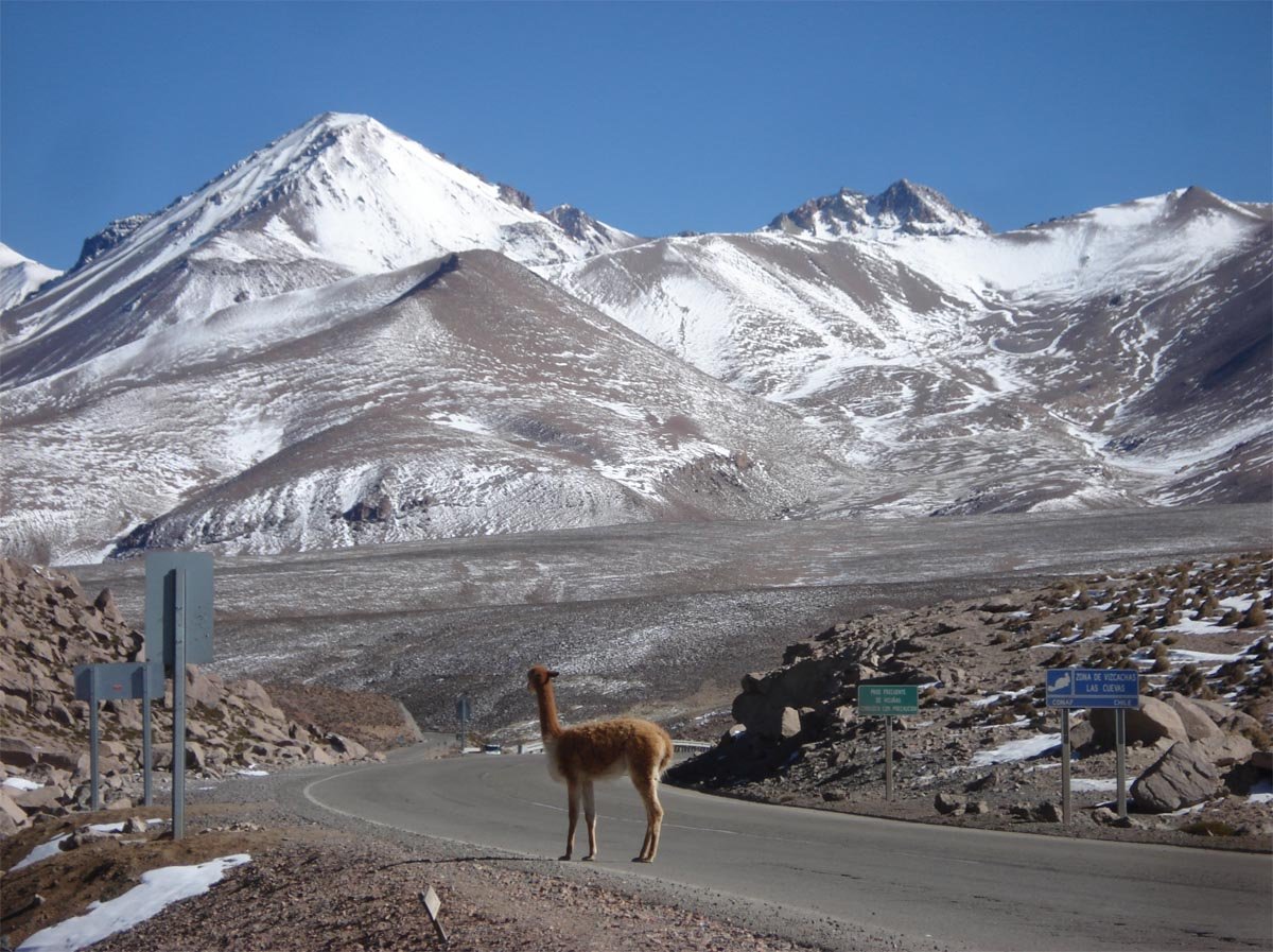 Parque_Nacional_Lauca_-_panoramio