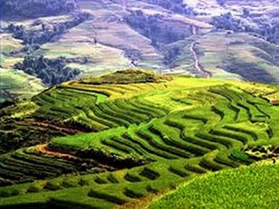 sapa.jpg