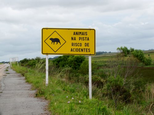 Placa.jpg Placa.jpg