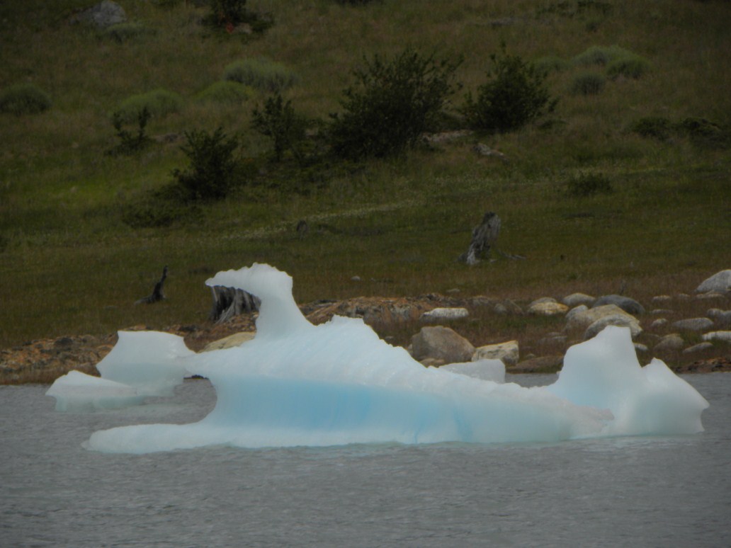 2012-01-06 (77) Glacial Perito Moreno ARG.jpg
