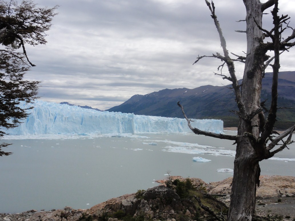 2012-01-06 (149) Glacial Perito Moreno ARG.jpg