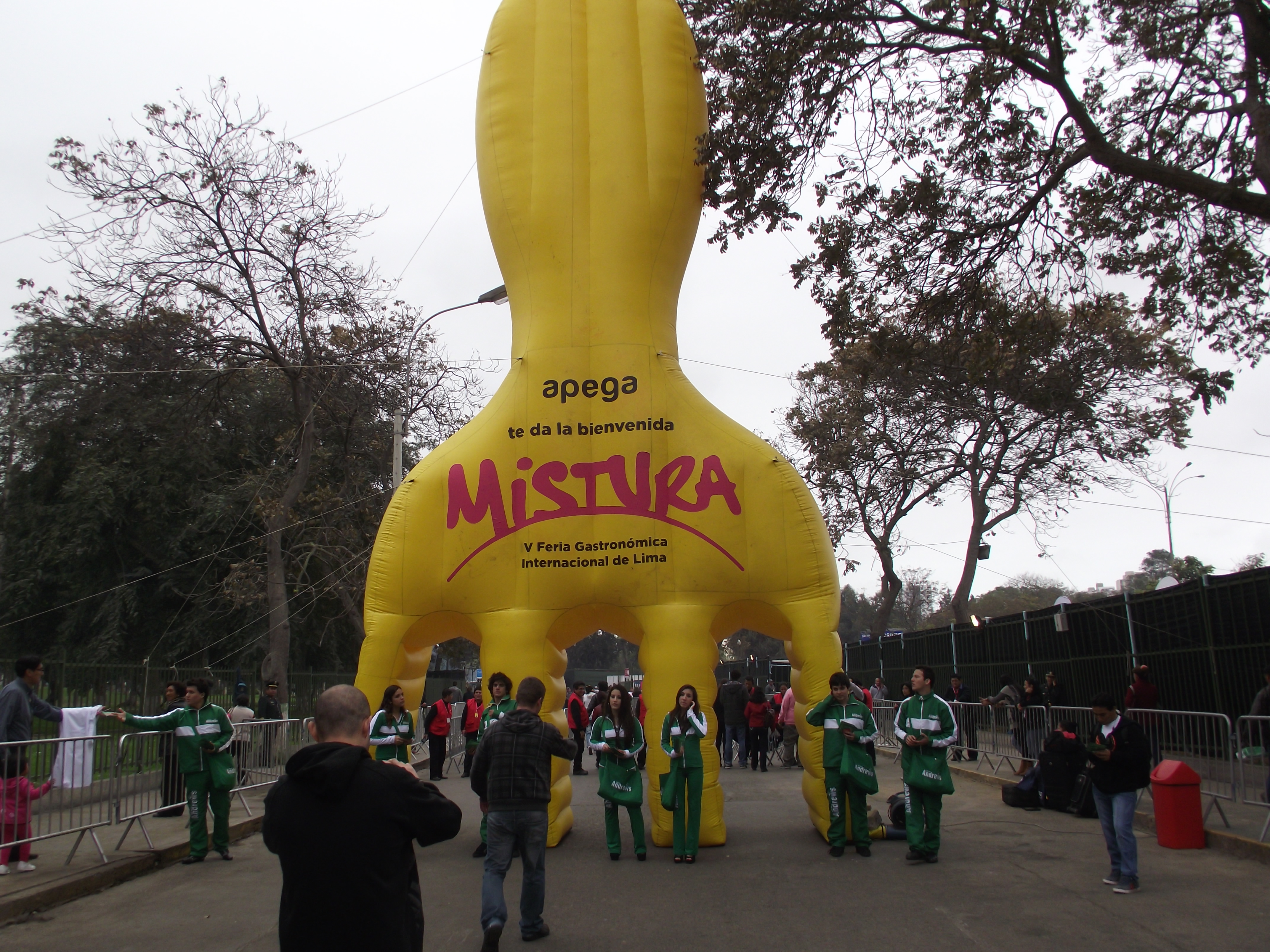 Imagem