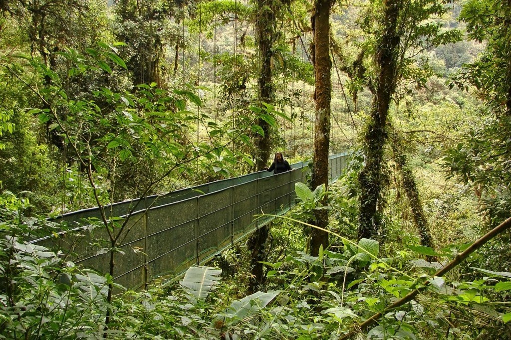 Ponte suspensa - Foto: Silnei L Andrade / Mochila Brasil