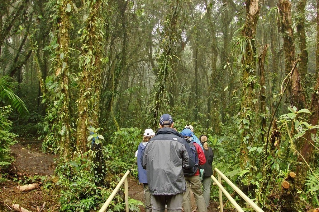 Público nas reservas de Monte Verde e Santa Elena é bastante variado - Foto: Silnei L Andrade / Mochila Brasil