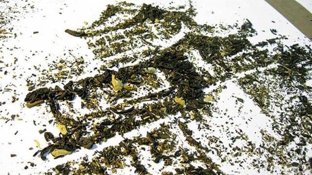 Detalhe do Pagode feito com Chá Verde | Foto: Reprodução