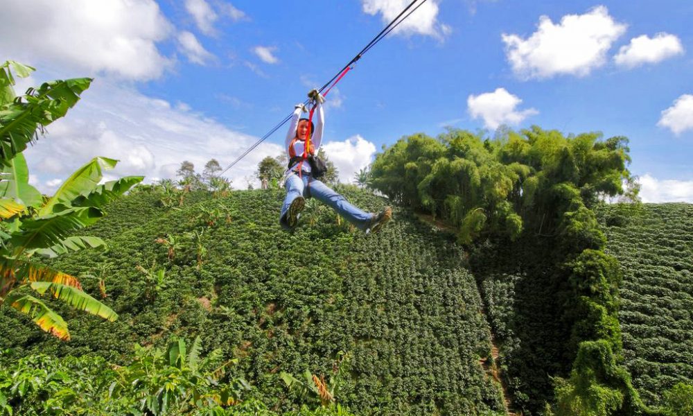 colombiacafe tirolesabosquesalman