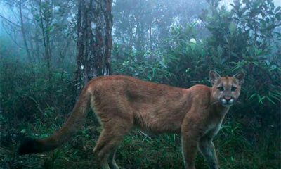 guiaextremosuldesaopaulo01