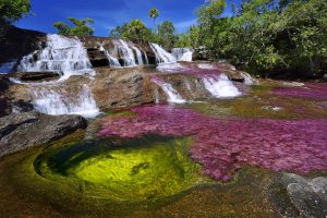 cano cristales river in colombia at the conclusion of wet season 1600x1068