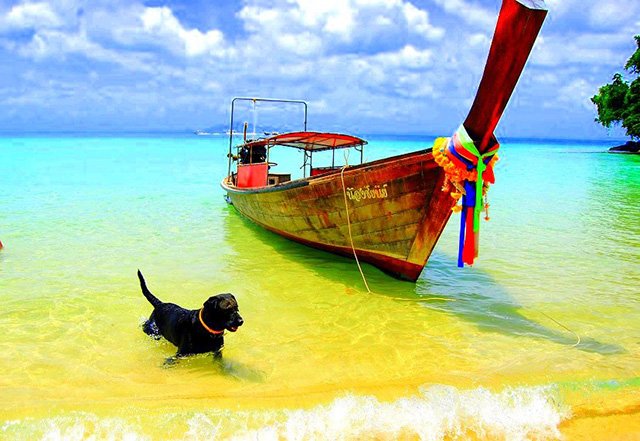 Olha o 'Tapa' em Ko Phi Phi, na Tailândia | Foto: Viagens maneiras