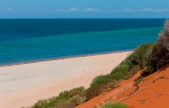 Área da Shark Bay | Foto: pizetaphoto