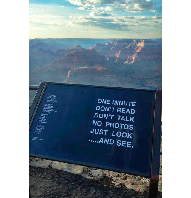 Por um minuto... não leia, não fale, não tire fotos; somente olhe e veja