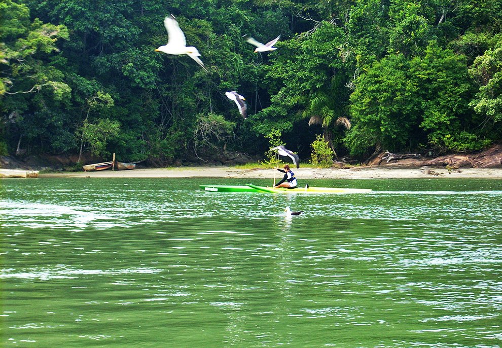 A região tem belas praias e trilhas. Faz parte da Estação Ecológica Jureia Itatins que engloba 6 cidades do litoral sul paulista, entre elas, Peruíbe | Foto: Débora Bar