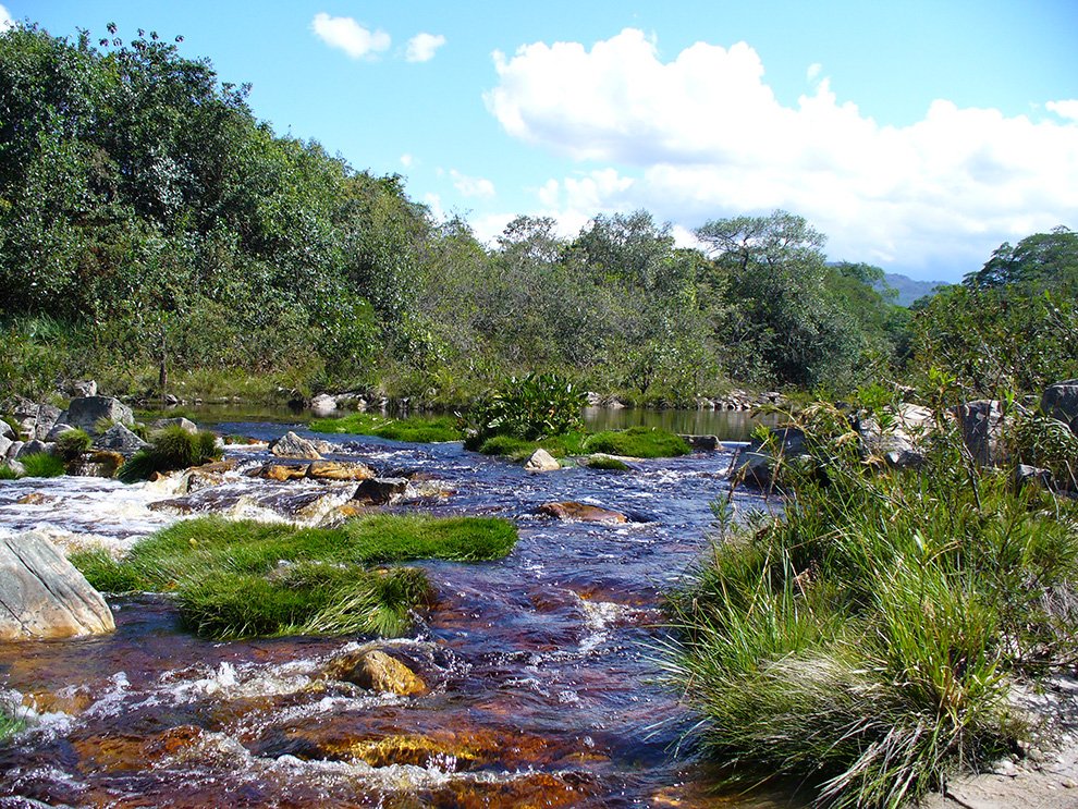Prainha - Parque Estadual do Rio Preto | Foto: Aldeia Comum