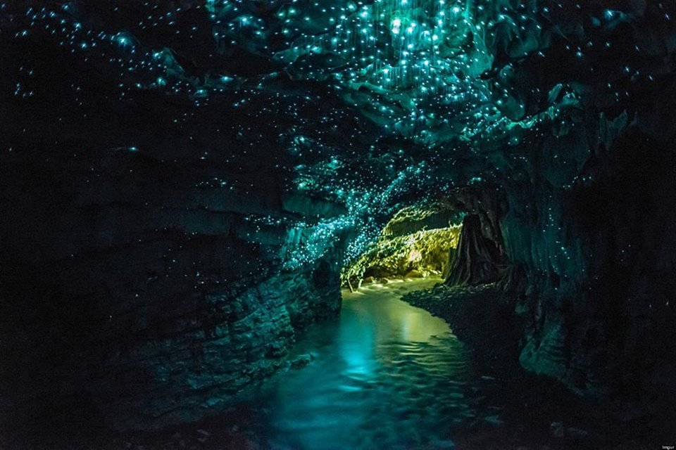 Waitomo Glowworm Caves - Foto: www.waitomo.com