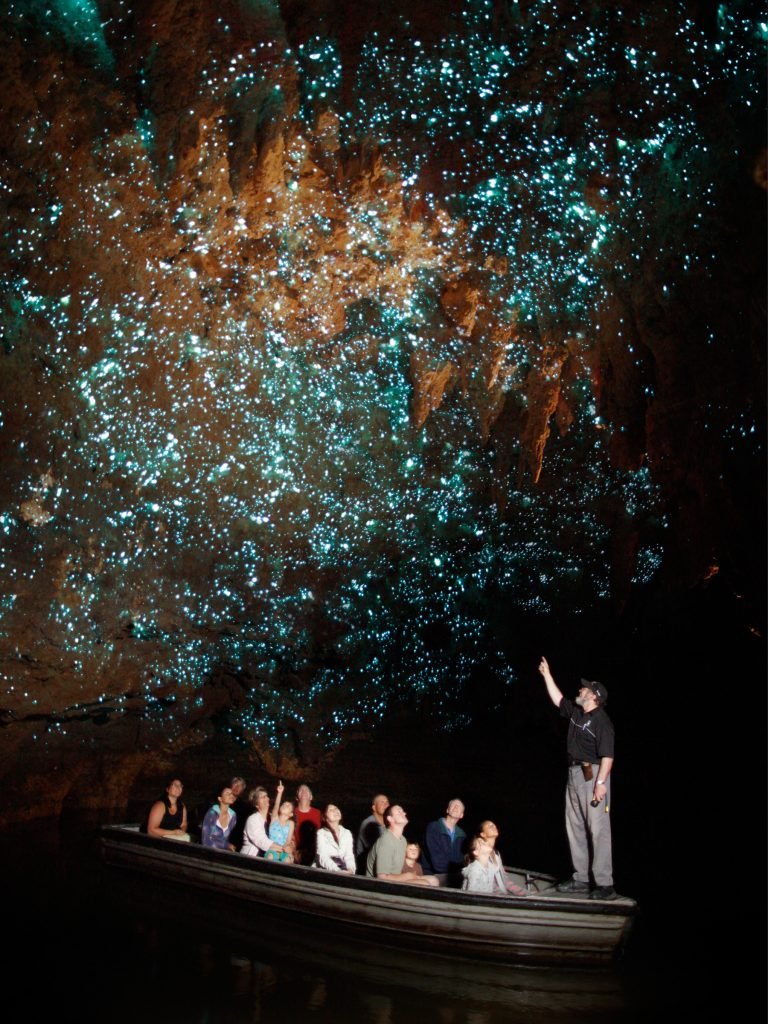 Waitomo Glowworm Caves - Foto: www.waitomo.com