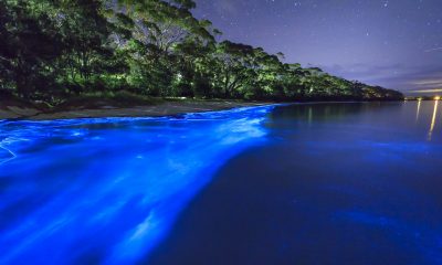 Andy Hutchinson 2013 2013 08 07 2