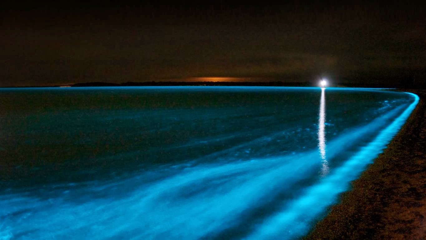 Gippsland Lakes, Victoria, Australia - Foto: PHIL HART