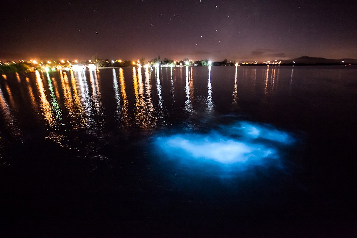 Luminous Lagoon, Jamaica