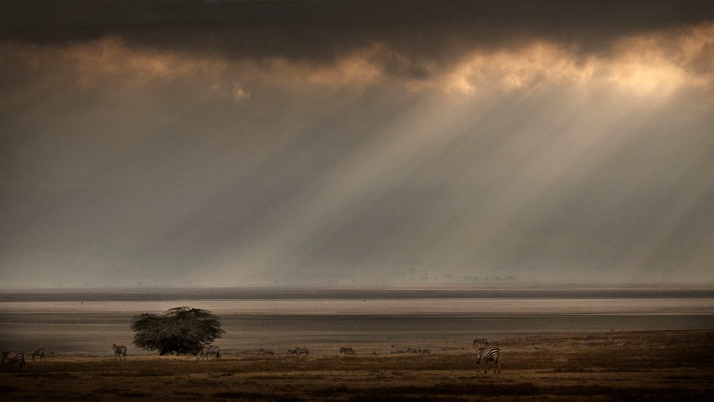 Área da cratera de Ngorongoro | Foto: Stuart Westmore