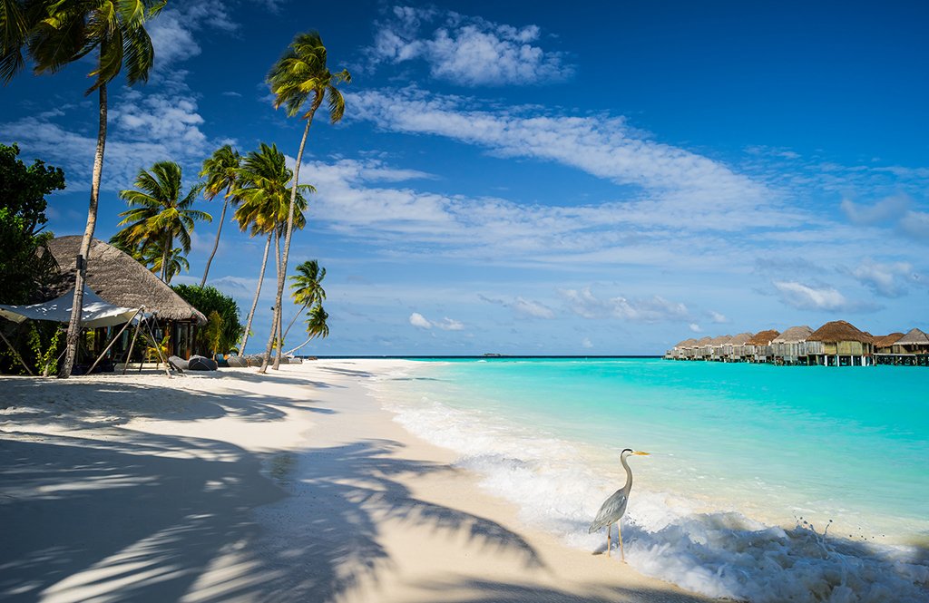 O governo do país já comprou terras de outros países, por risco de inundações. Na imagem, área de um resort local | Foto: Mac Qin