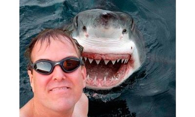 selfies 01 oddandstrange