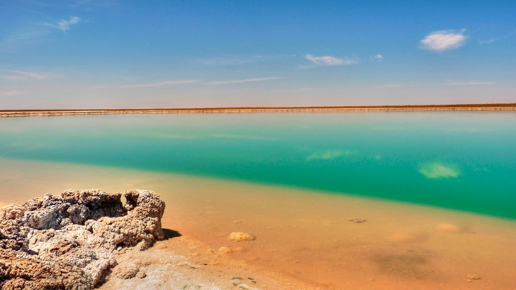 Laguna Cejar | Foto: Tsun Ho.