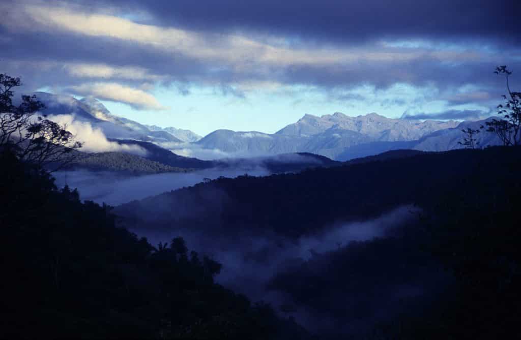 Madidi national park in Bolivia