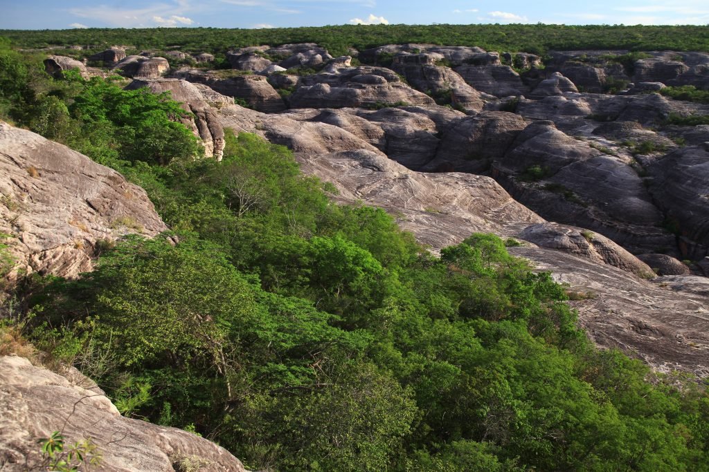 Paisagem típica do Parque Nacional Serra das Confusões - Foto: Eraldo Peres