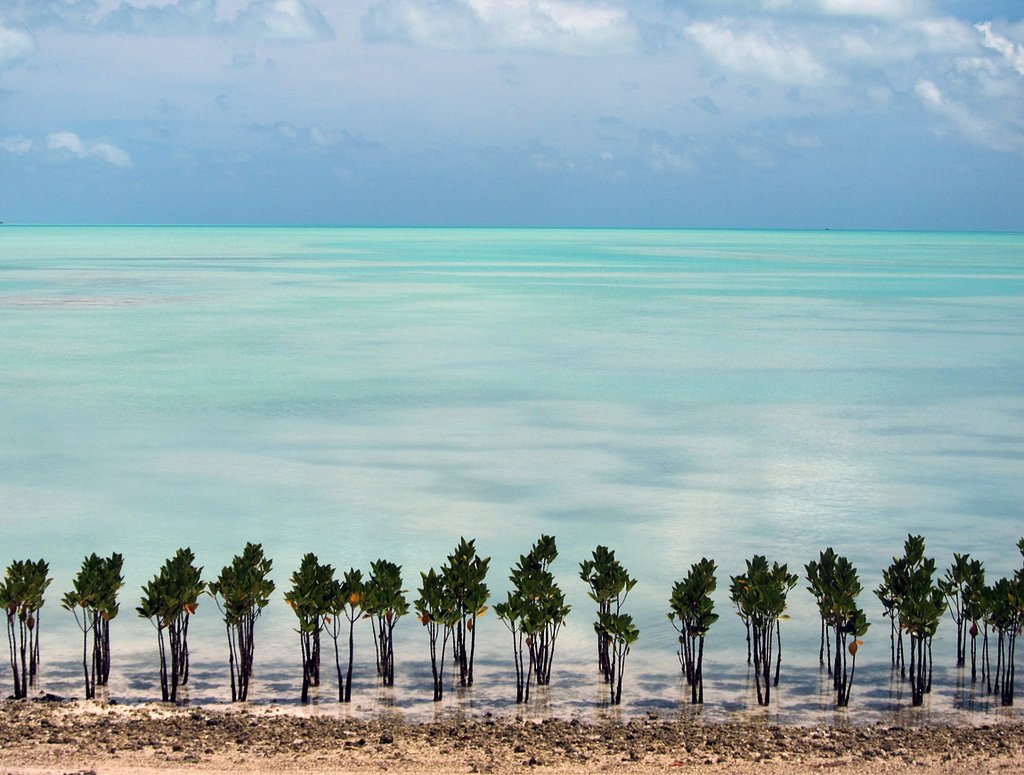 Área de Kiribati | Foto: Richard Markham/The Australian Centre for International Agriculture Research.