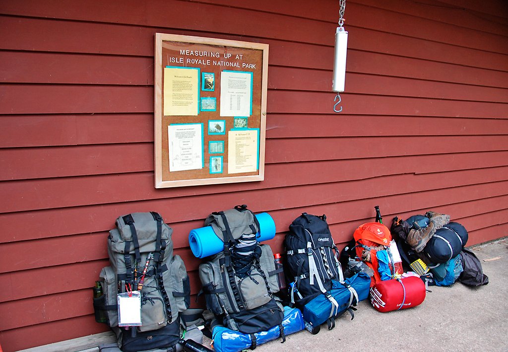 Muitas vezes eles até se juntam às suas viagens | Foto: Joe Ross.