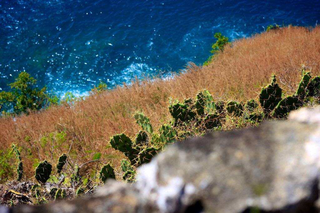 Detalhe da costa da região do Pigeon Island National Park | Foto: Meng He.