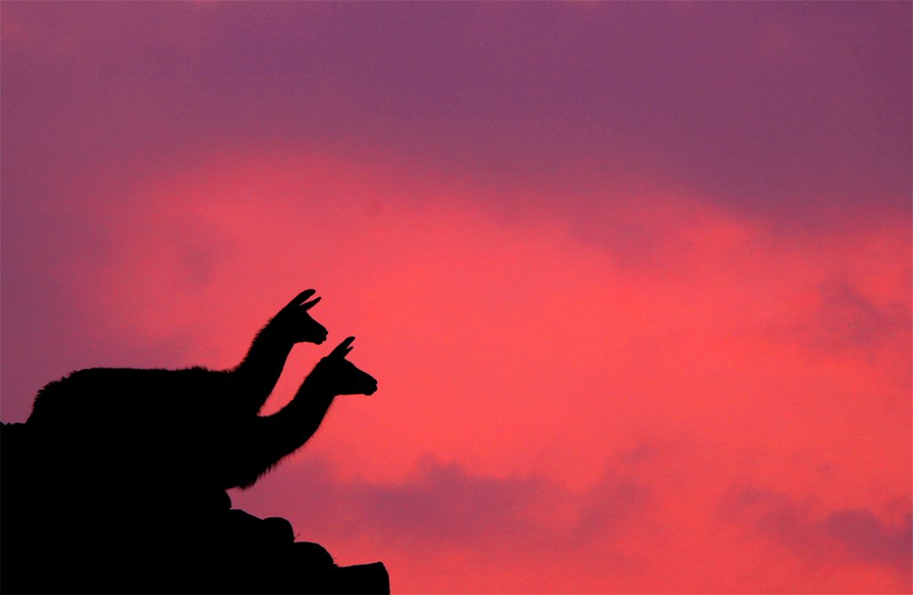 Foto: Kees Straver