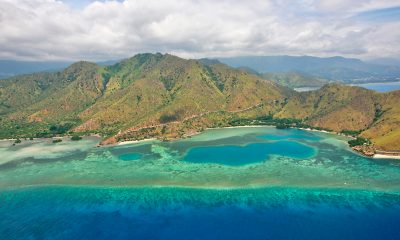 timorlestemenosconhecidoschamafb