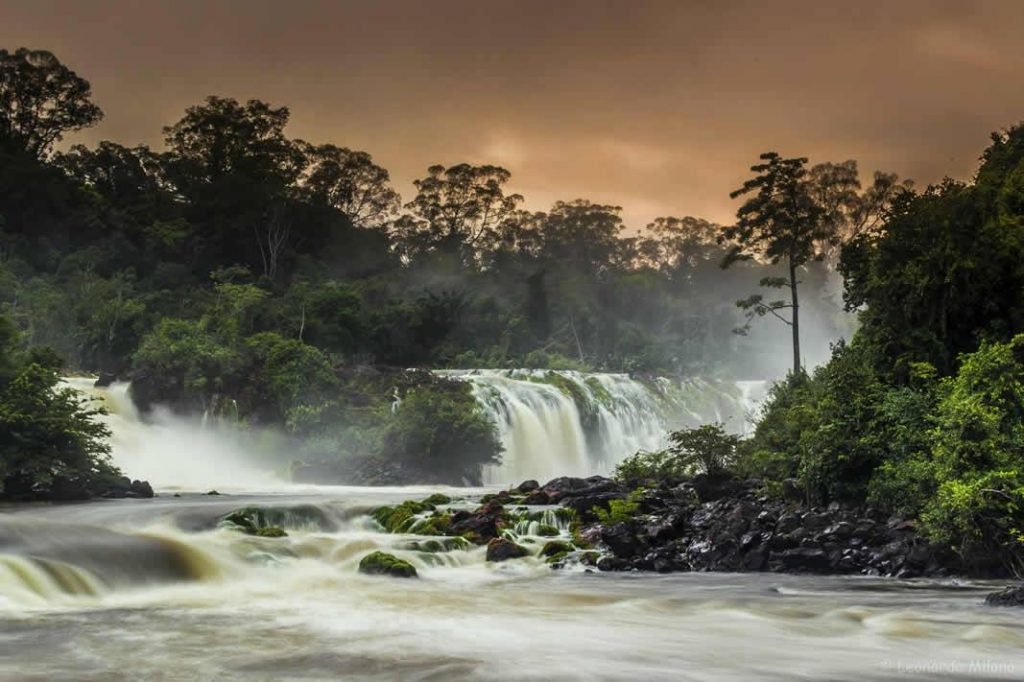 Parque Nacional Montanhas do Tumucumaque - Foto: Leonardo Milano / ICMBio - 