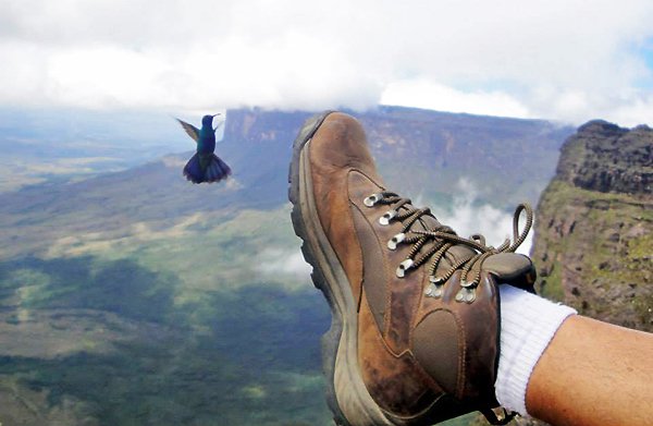 Monte Roraima - Venezuela | Foto de Wesley Ribeiro.