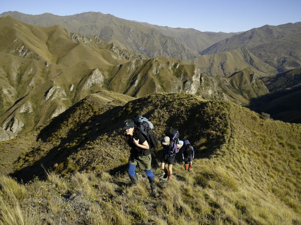 Trecho da Te Araroa Trail na Nova Zelândia - Foto: Amos Chapple