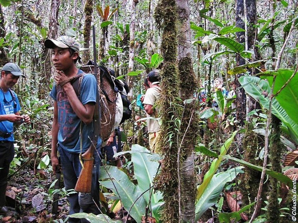 Uma das opções é partir com a expedição por terra em 4 dias de caminhada na mata fechada | Foto: Divulgação/RoraimaAdventures.