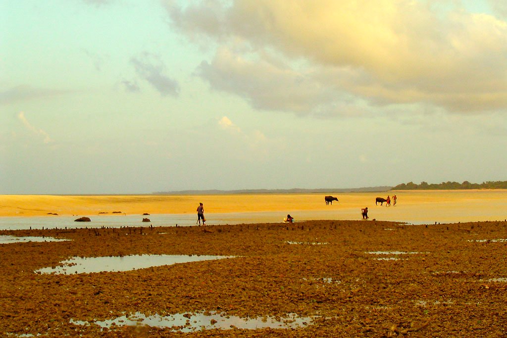 Entardecer na Ilha do Marajó - PA | Foto: Fernando Stankuns.