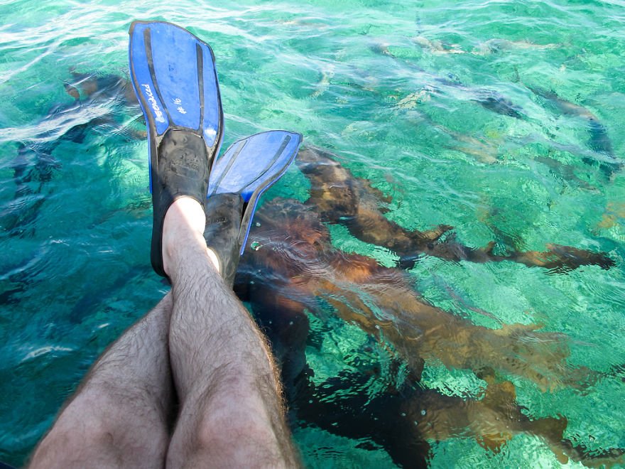 Belize Barrier Reef - Belize | Foto: Alex Berger.