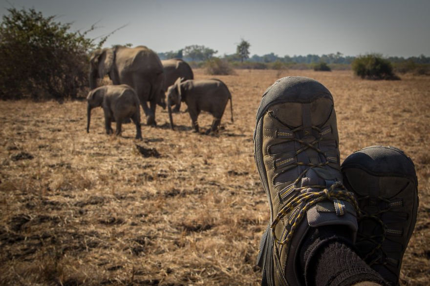 South Luanga National Park - Zâmbia | Foto: Alex Berger.