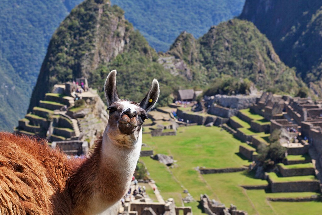 Machu Picchu | Foto: Geraint Rowland.