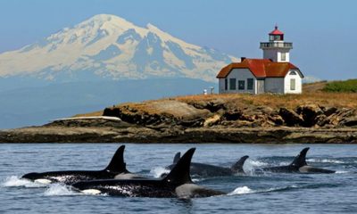 sanjuan pr vacations