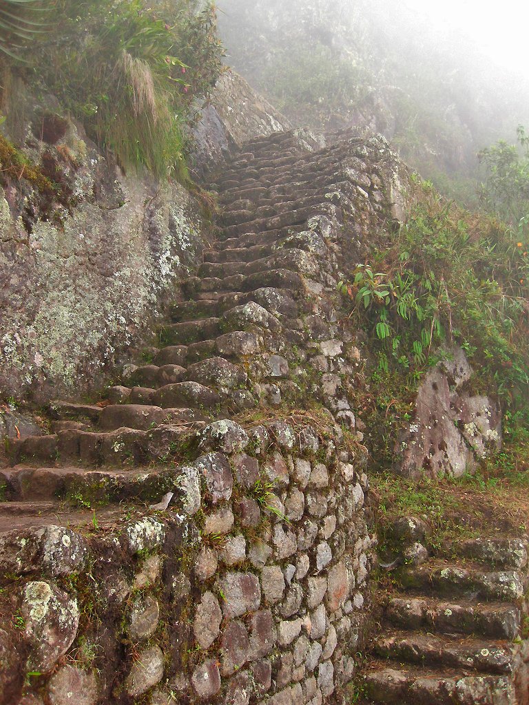 Talvez você queira encontrar uma escada assim | Foto: Mr Hicks46.