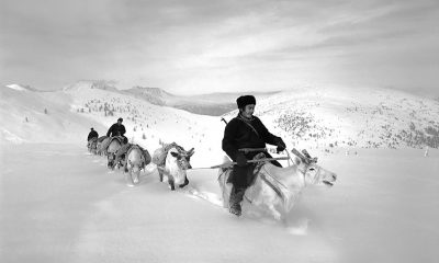 reindeer people hamid sardar afkhami 3