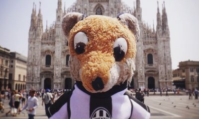 11378693 386890214847141 427020501 n