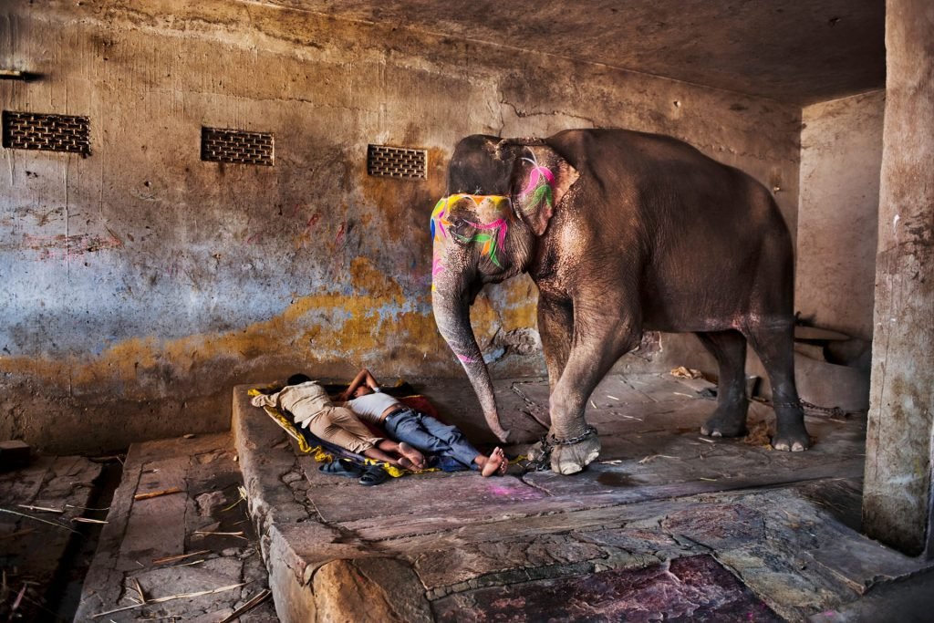 Mahouts dormindo com seu elefante. Rajastão, 2012 - Foto: Steve McCurry