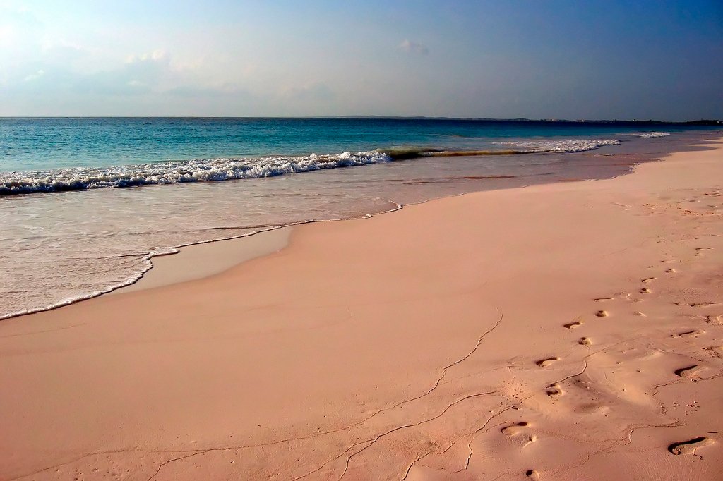Pegadas na areia rosa da praia bahamiana | Foto: Mike's Birds.
