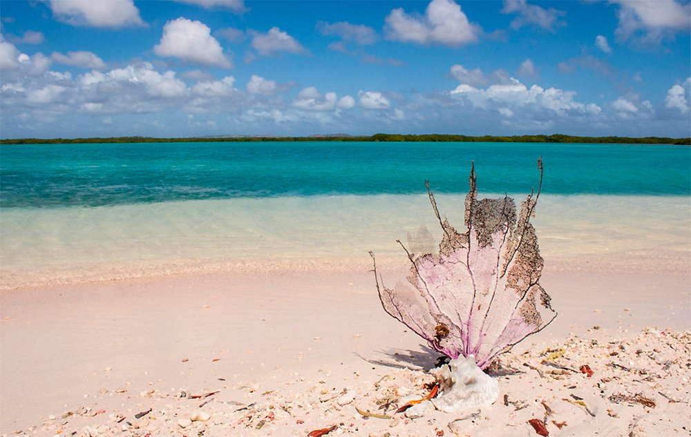 Foto: Tourism Corporation Bonaire.