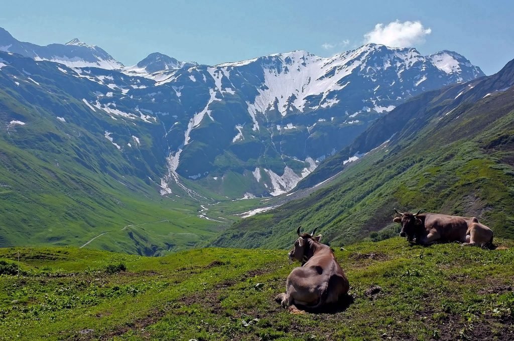 Tour du Mont Blanc - Foto: Nicholas Davis