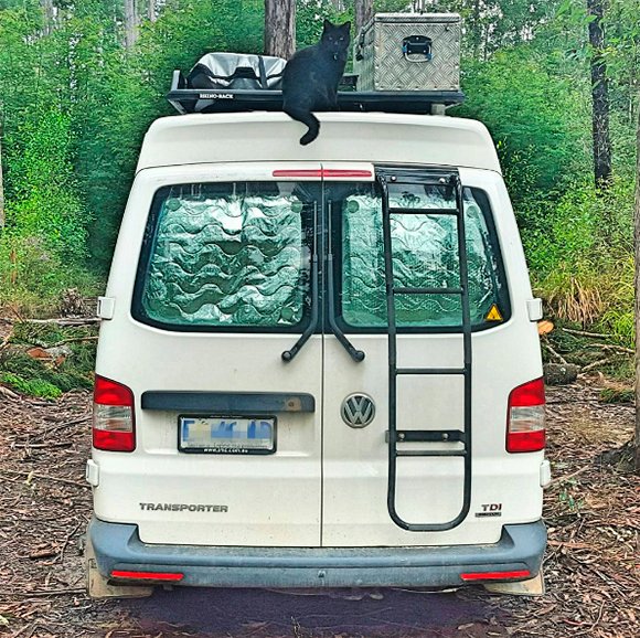A guardiã da van | Foto: Reprodução Instagram.